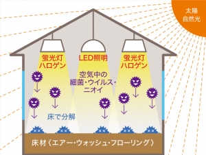 ばい菌チラシ
