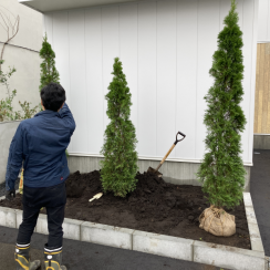 仕上げの植樹は自分たちで！